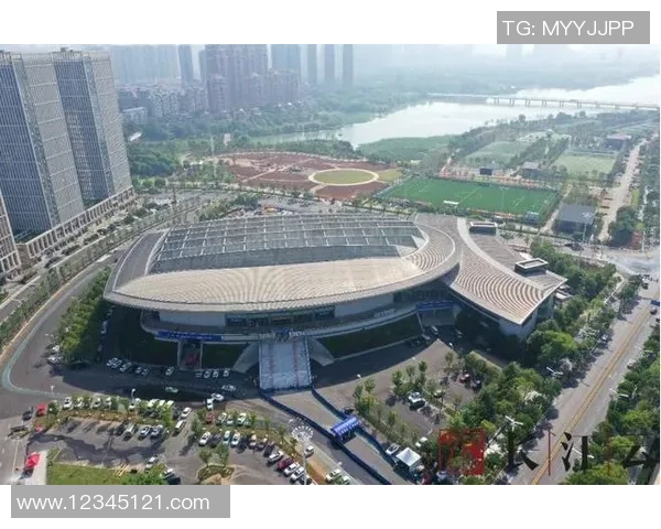 武汉篮球队的洲际杯征程与奋斗精神全景回顾