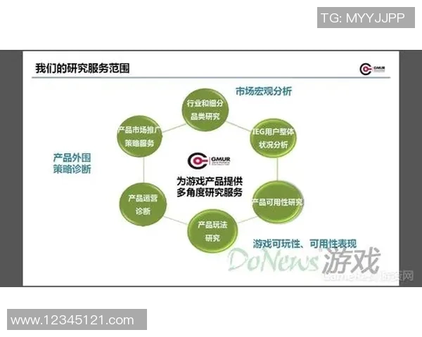 深入分析成都篮球队的运营策略与市场推广模式