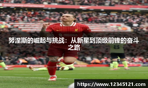 努涅斯的崛起与挑战：从新星到顶级前锋的奋斗之路